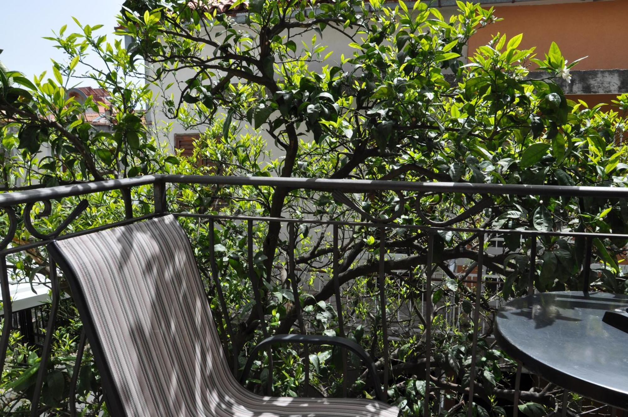 Guest House Damjana Budva Luaran gambar